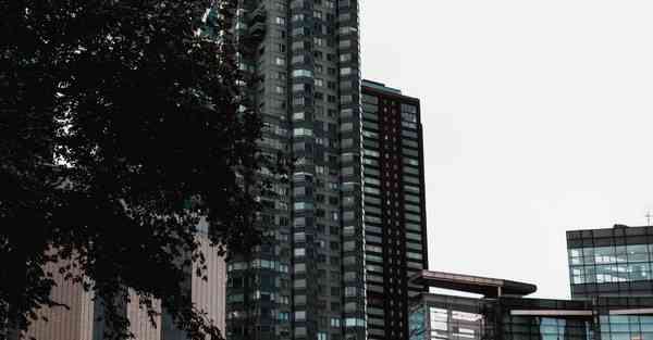 大数据监管的作用（监管大数据应用）