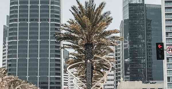 数据融合与大数据算法