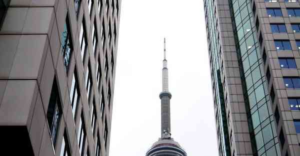 外国语单招大数据的行业文章