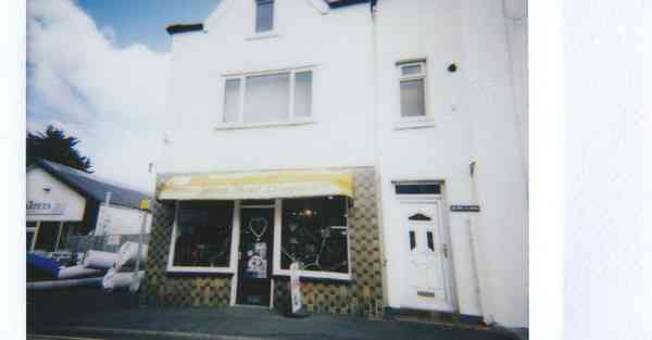 外国语单招大数据的行业文章