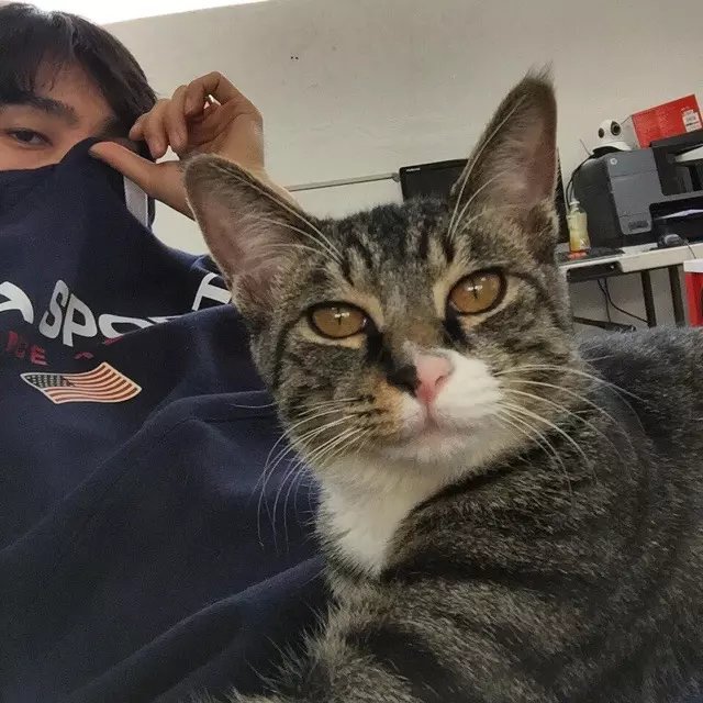 柴力伯贵