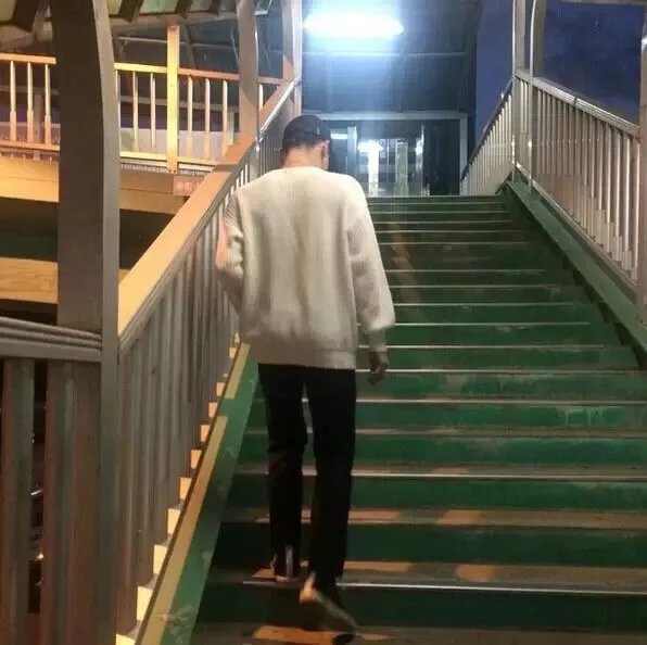 习艳绿真