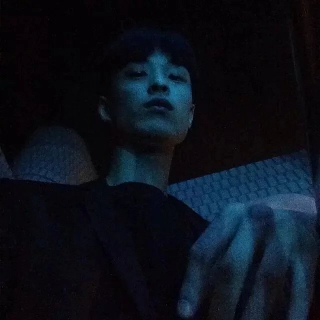吴全菁芬