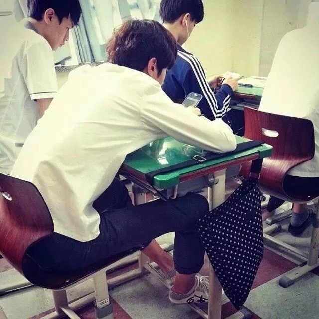 雍启信鸣
