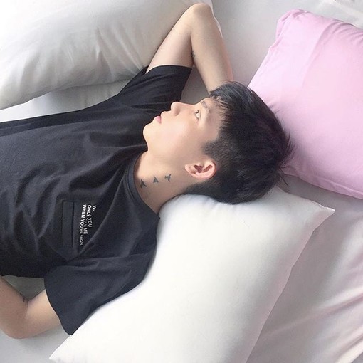 容山菊紫